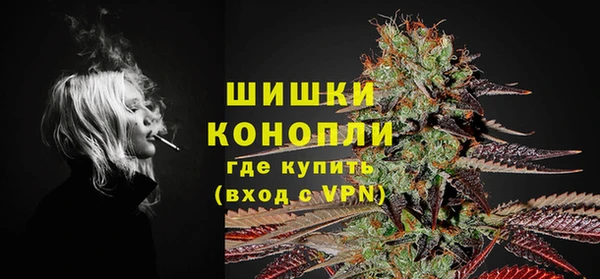 сатива Михайловка