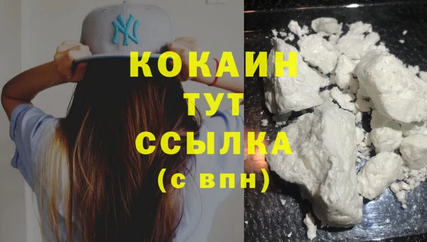 мескалин Михайлов