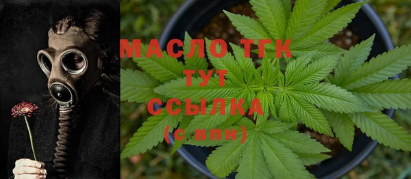 сатива Мегион