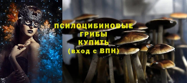 сатива Михайловка