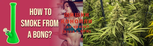 сатива Михайловка