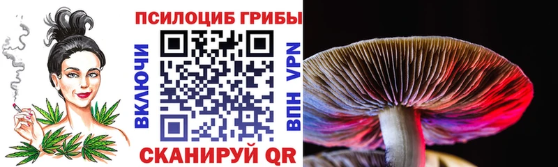 Галлюциногенные грибы Psilocybe  Новопавловск 