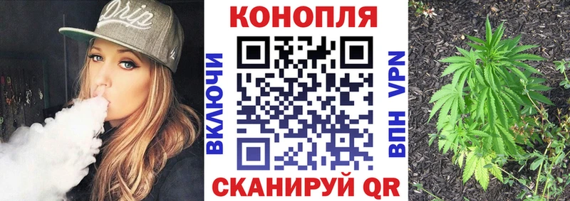 Бошки Шишки гибрид  Новопавловск 